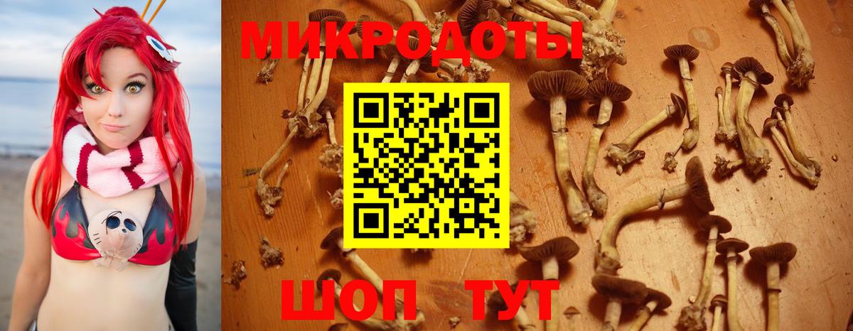 Кохма  Псилоцибиновые грибы мицелий  Вход с VPN 